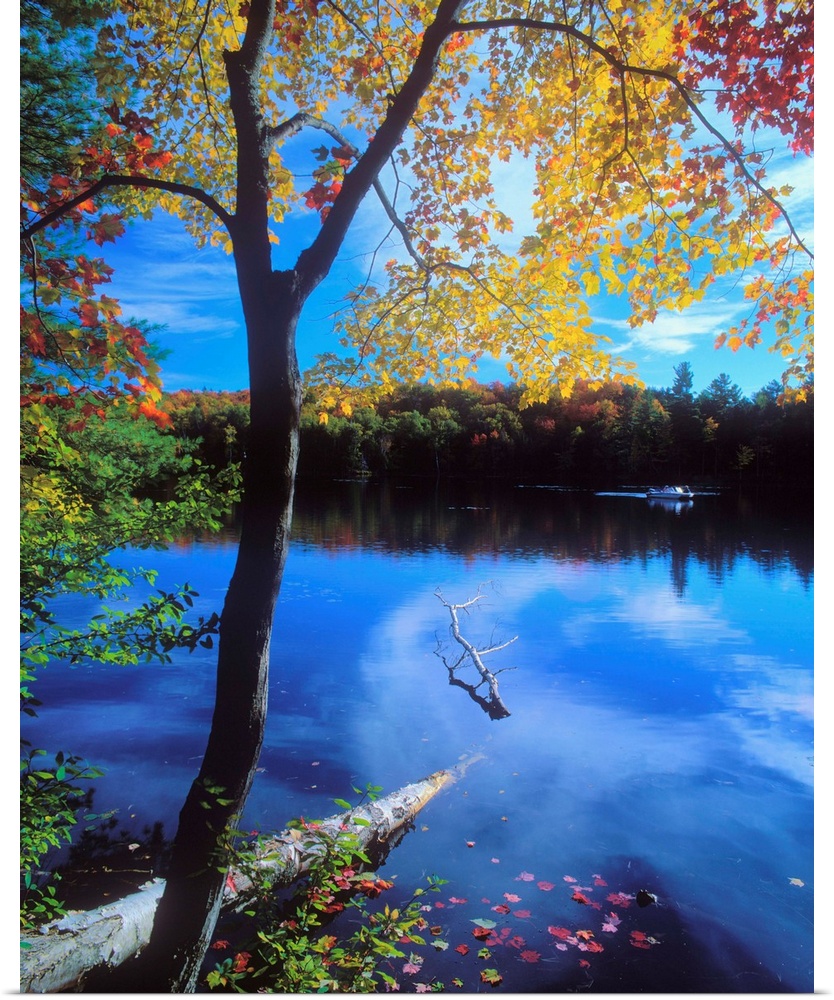 United States, New York State, Adirondacks, View of a lake