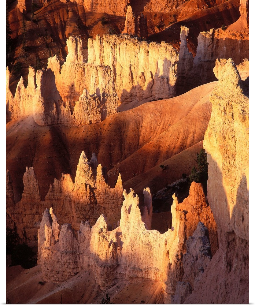 United States, Utah, Bryce Canyon National Park, natural pinnacles