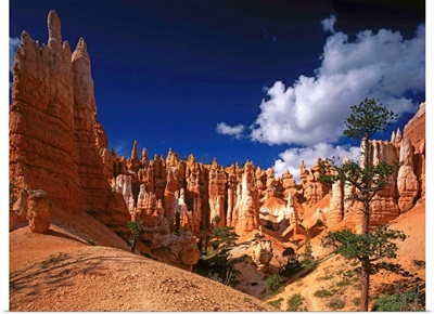 United States, Utah, Bryce Canyon National Park, Queen's Garden