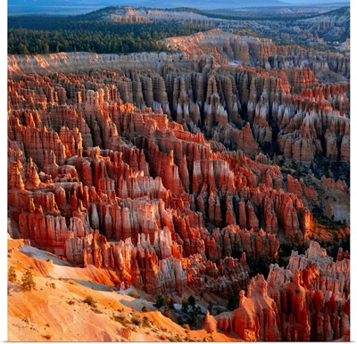 United States, Utah, Bryce Canyon National Park, view from Sunrise Point