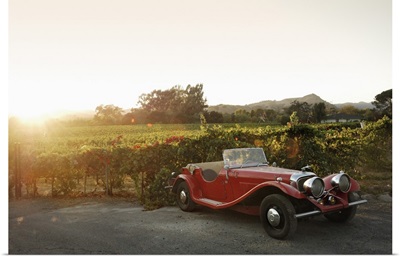 USA, California, Napa Valley, Vintage car and vineyard