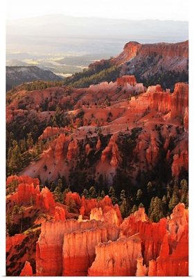 Utah, Sunrise on the Hoodoos in Bryce Canyon from Inspiration point