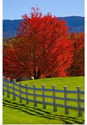 Vermont, Stowe