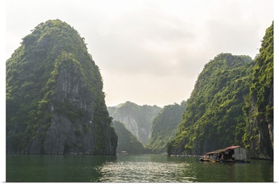 Vietnam, Northeast, North Vietnam, Coast, Halong Bay, Floating fishing village
