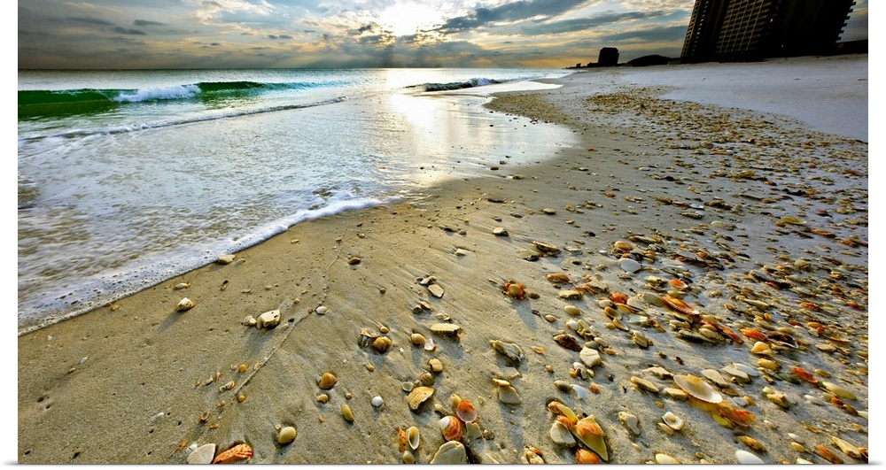 A sandy shell covered shore before a bright sunset. A very tranquil and relaxing Florida vacation spot. Landscape taken on...