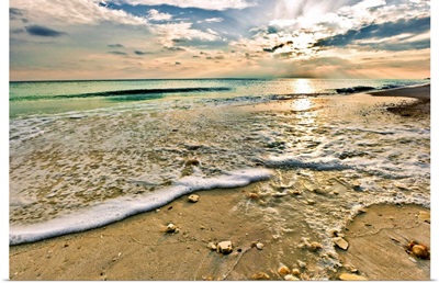 Beautiful Beach Sunset Sea Shells On Beach Picture