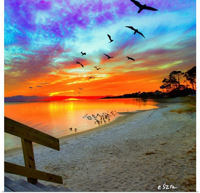 Birds Soaring Orange Sunset Reflection-Sandy Shore