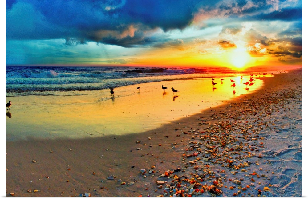 Dark blue sunset landscape over a sandy shoreline. Birds play in the reseding surf. A trail of beach shells wonders into t...