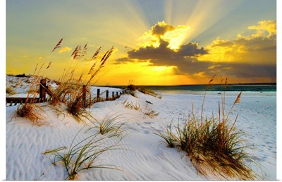 Landscape Photography Beach Golden Sunset