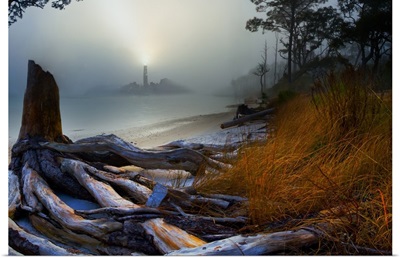 Lighthouse Fog Sea-Twisted Tree Roots Landscape