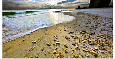 Panoramic Sunset  Beach Shells