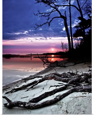 River-Sunset-Sandy-Bank-Exposed-Forest-Roots