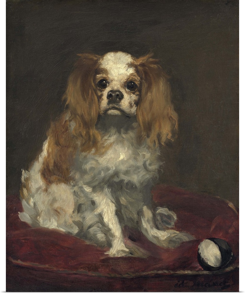 A King Charles Spaniel, by Edouard Manet, 1866, French painting, oil on linen