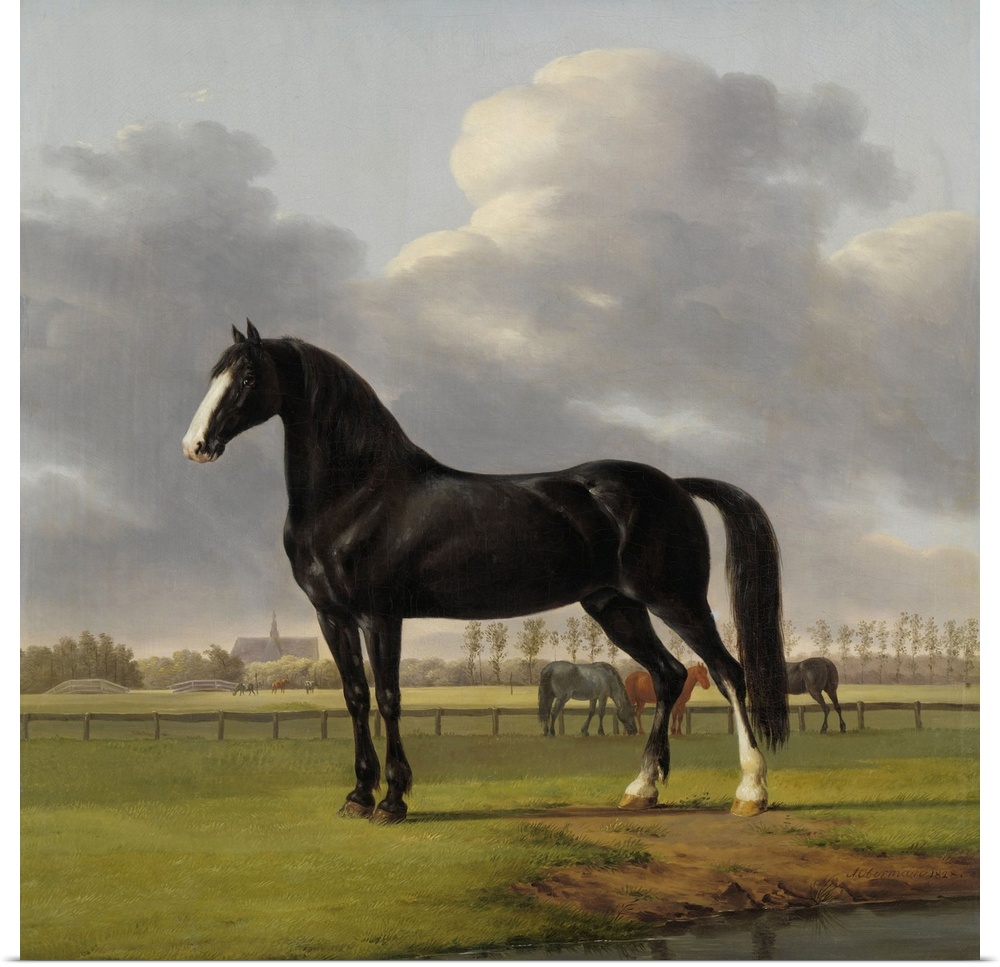 Adriaan van der Hoop's Trotter 'De Vlugge' (The Fast One) in a Meadow, Anthony Oberman, 1828, Dutch painting, oil on canva...