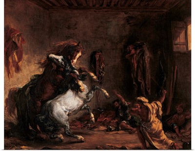 Arab Horses Fighting in a Stable