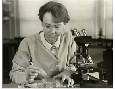Barbara McClintock, in her laboratory at Cold Spring Harbor, New York, in 1947