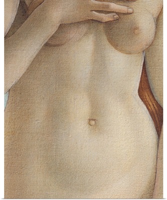 Birth Of Venus, Torso Of Venus, By Botticelli, 1484-1485. Uffizi Gallery, Florence. Deta