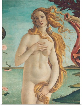 Birth Of Venus, Venus, By Botticelli, 1484-1485. Uffizi Gallery, Florence, Italy