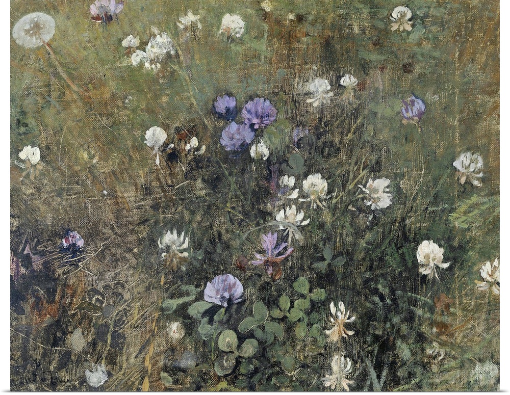 Blooming Clover, by Jac van Looij, c. 1897, Dutch painting, oil on canvas. Close-up study of a clover in a meadow.