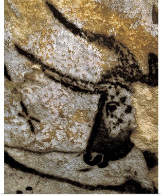 Bull head in the Cave of Lascaux, France