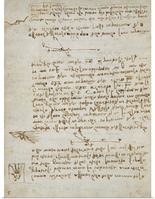 Codex on the Flight of Birds, by Leonardo da Vinci, 1505-1506. Royal Library, Turin