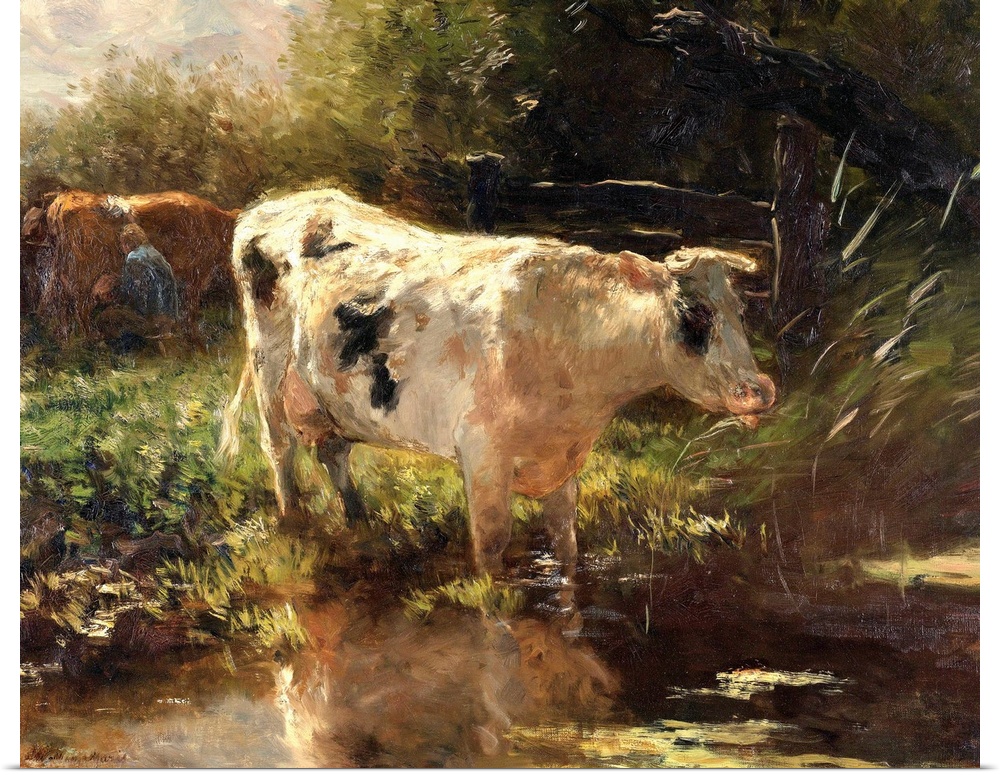 Cow Beside a Ditch, by Willem Maris, c. 1885-95, Dutch painting, oil on canvas. In the background, a farmer milks a cow in...