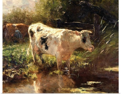 Cow Beside a Ditch, by Willem Maris, c. 1885-95, Dutch painting, oil on canvas