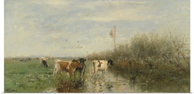 Cows in a Soggy Meadow, by Willem Maris, c. 1860-1900, Dutch painting, oil on panel