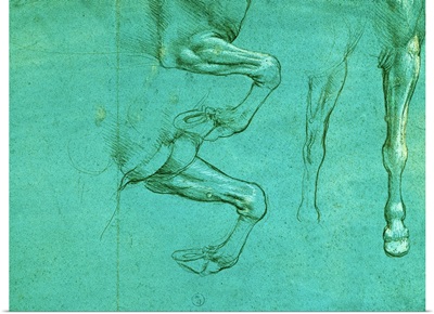 Drawing of Horse Front Legs, by Leonardo da Vinci, 1490. Royal Library, Turin, Italy