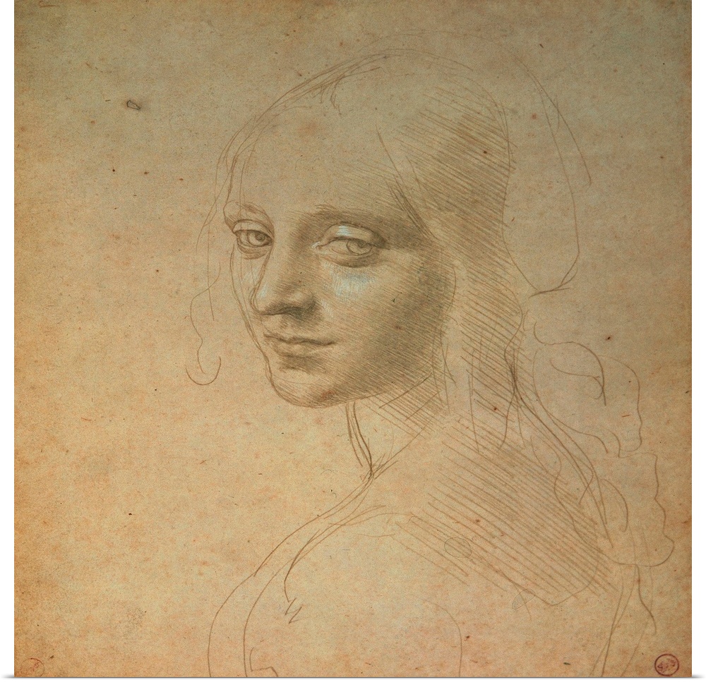 Portrait of a Girl, by Leonardo da Vinci, 15th Century, 1483 -1484 about, metal point (probably gold) with white heighteni...