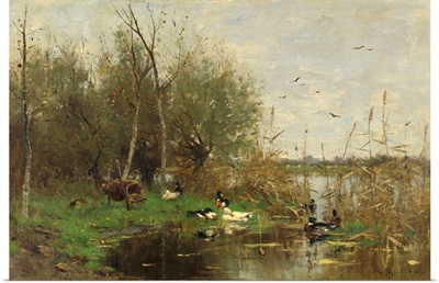 Ducks Beside a Duck Shelter on a Ditch, 1884, Dutch painting, oil on canvas