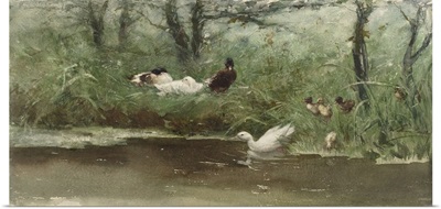 Ducks in the Ditch, by Willem Maris, c. 1880-1900