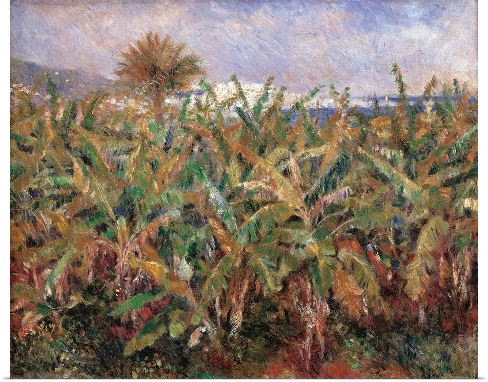 Field of Banana Trees, by Pierre-Auguste Renoir, 1881, 19th Century, oil on canvas, cm 51,5 x 63,5 - France, Ile de France...