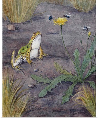 Frog Near a Dandelion with Flies, by Jan van Oort, c.1880-1930