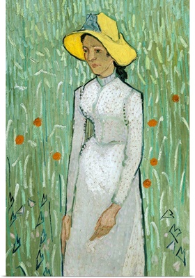 Girl in White, by Vincent van Gogh, 1890