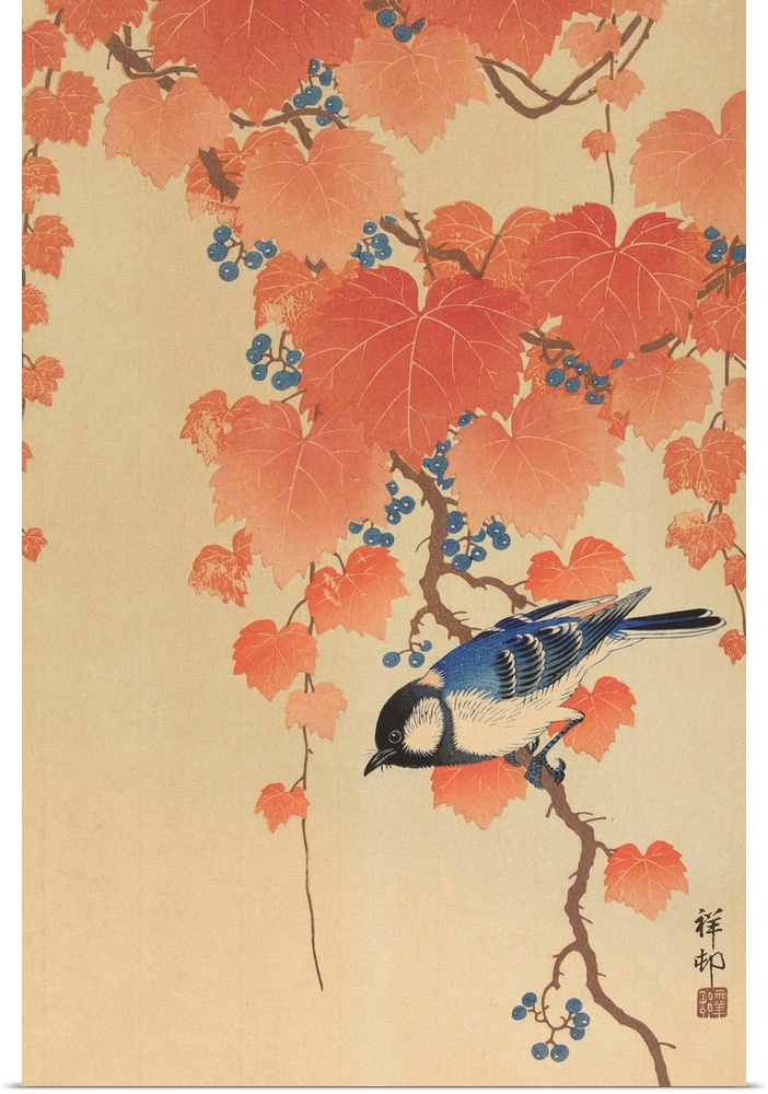Great Tit on Paulownia Branch, by Ohara Koson, 1925-36, Japanese print, color woodcut.