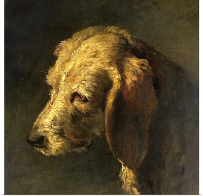 Head of a Dog, by Nicolas Toussaint Charlet, c. 1820-45, French painting, oil on canvas