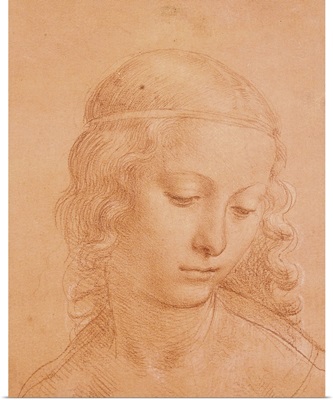 Head of a Young Woman, by apprentice of Leonardo da Vinci, c. 1508-1510