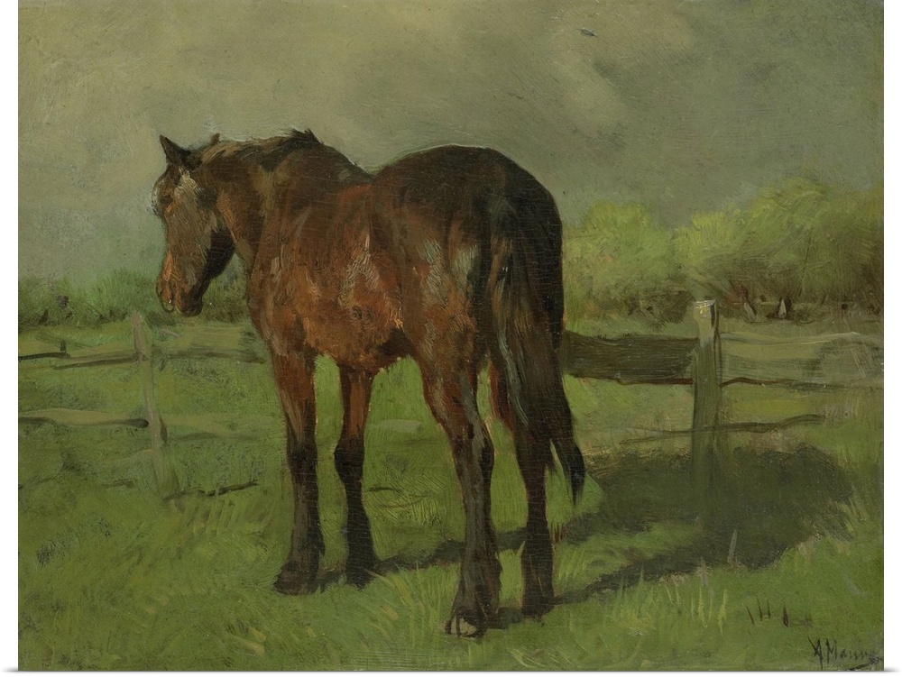 Horse, by Anton Mauve, 1860-88, Dutch painting, oil on canvas. An old horse standing in a fenced pasture.