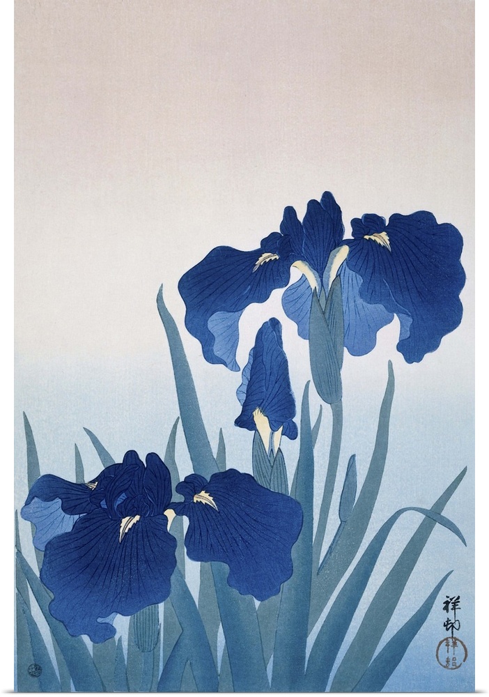 Irises, by Ohara Koson and Watanabe Shozaburo, c. 1925-36, Japanese print, color woodcut.