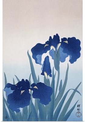 Irises, by Ohara Koson and Watanabe Shozaburo, c. 1925-36