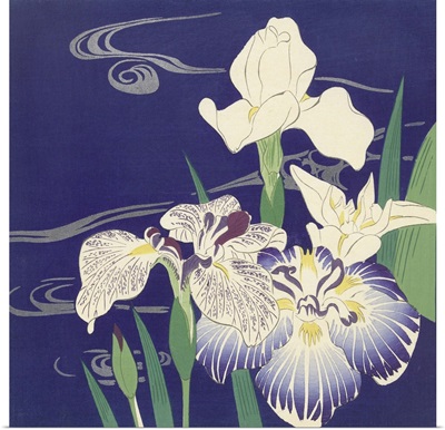 Irises, by Tsukioka Kogyo, c. 1890-1900