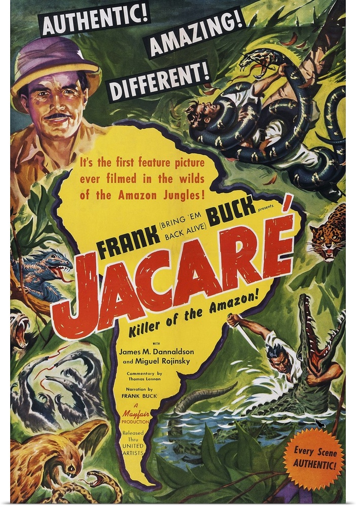 Retro poster artwork for the film Jacare.