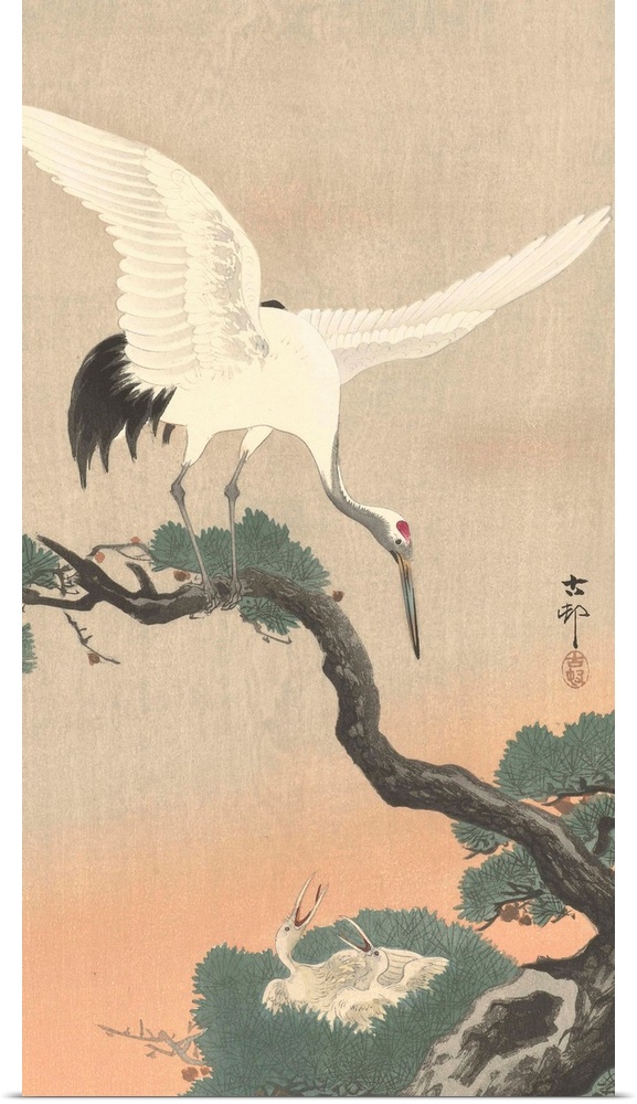 Japanese Crane on Pine Branch, by Ohara Koson, 1900-30, Japanese print, color woodcut.
