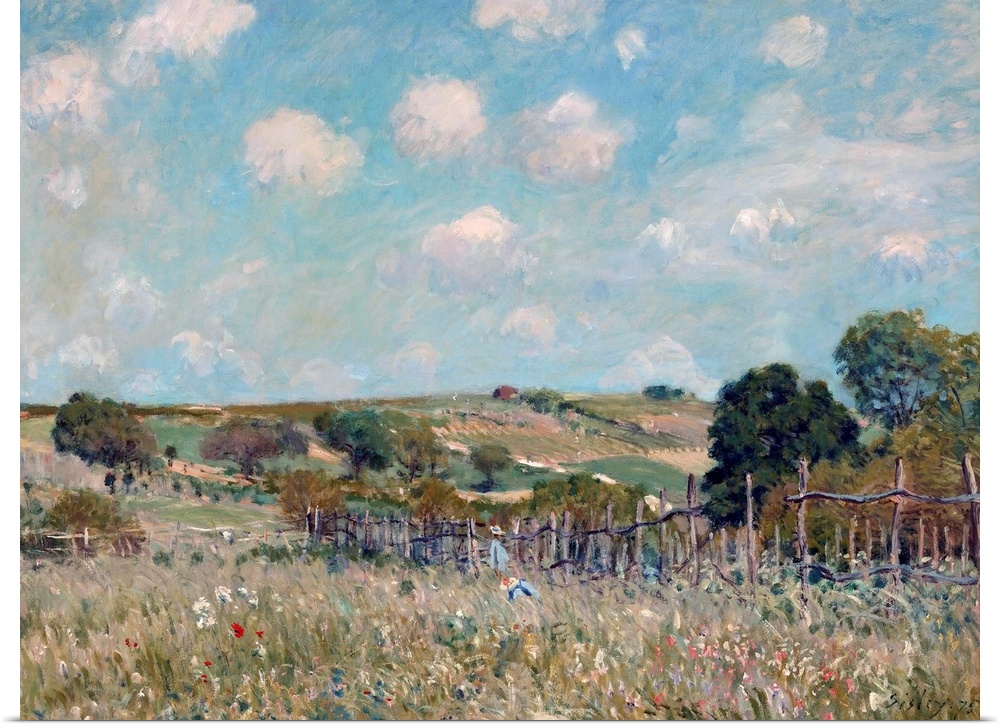 Meadow, by Alfred Sisley, 1875, French impressionist painting, oil on canvas. Sisley was born in Paris to British parents,...