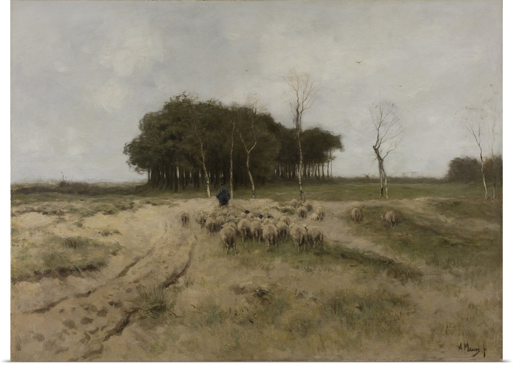 On the Heath Near Laren, by Anton Mauve, 1887, Dutch painting, oil on canvas. Larne was a village located in barren heathl...