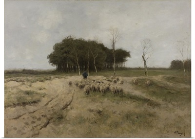 On the Heath Near Laren, by Anton Mauve, 1887, Dutch painting, oil on canvas