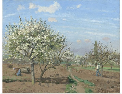 Orchard in Bloom, Louveciennes, by Camille Pissarro, 1872