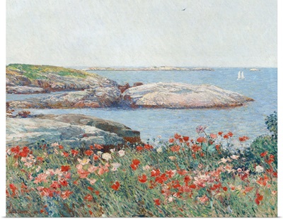 Poppies, Isles of Shoals, America, by Childe Hassam, 1891