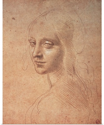 Portrait of a Girl, by Leonardo da Vinci, 1483-1484